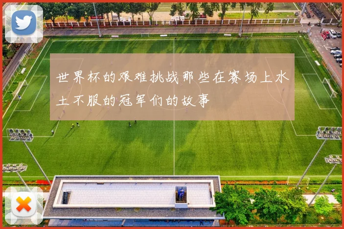 世界杯的艰难挑战那些在赛场上水土不服的冠军们的故事